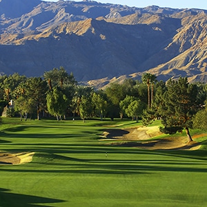 Palm Springs Golf, Live Auction Fundraising