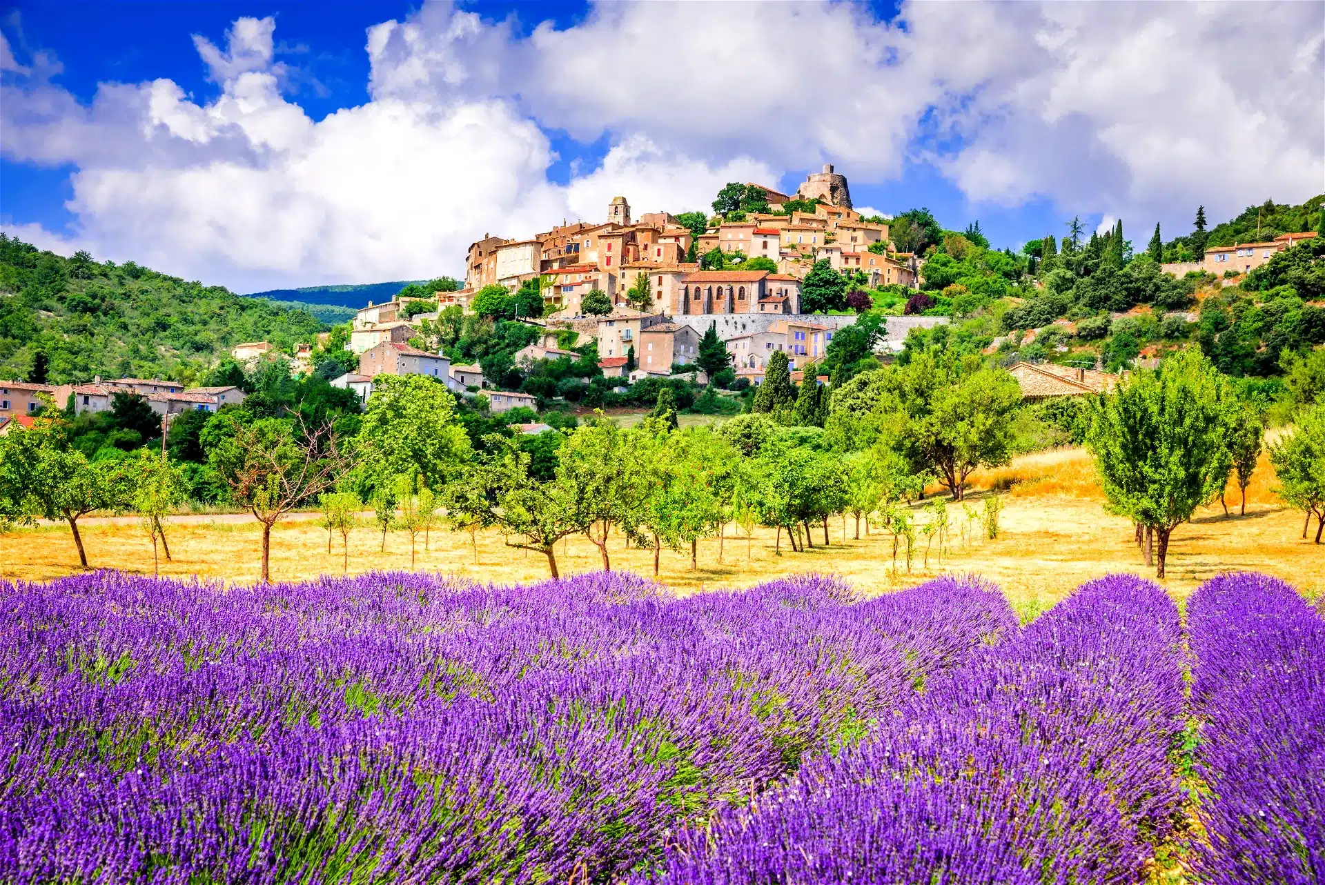 Provence luxury villa field, fundraiser auction items, live auction items