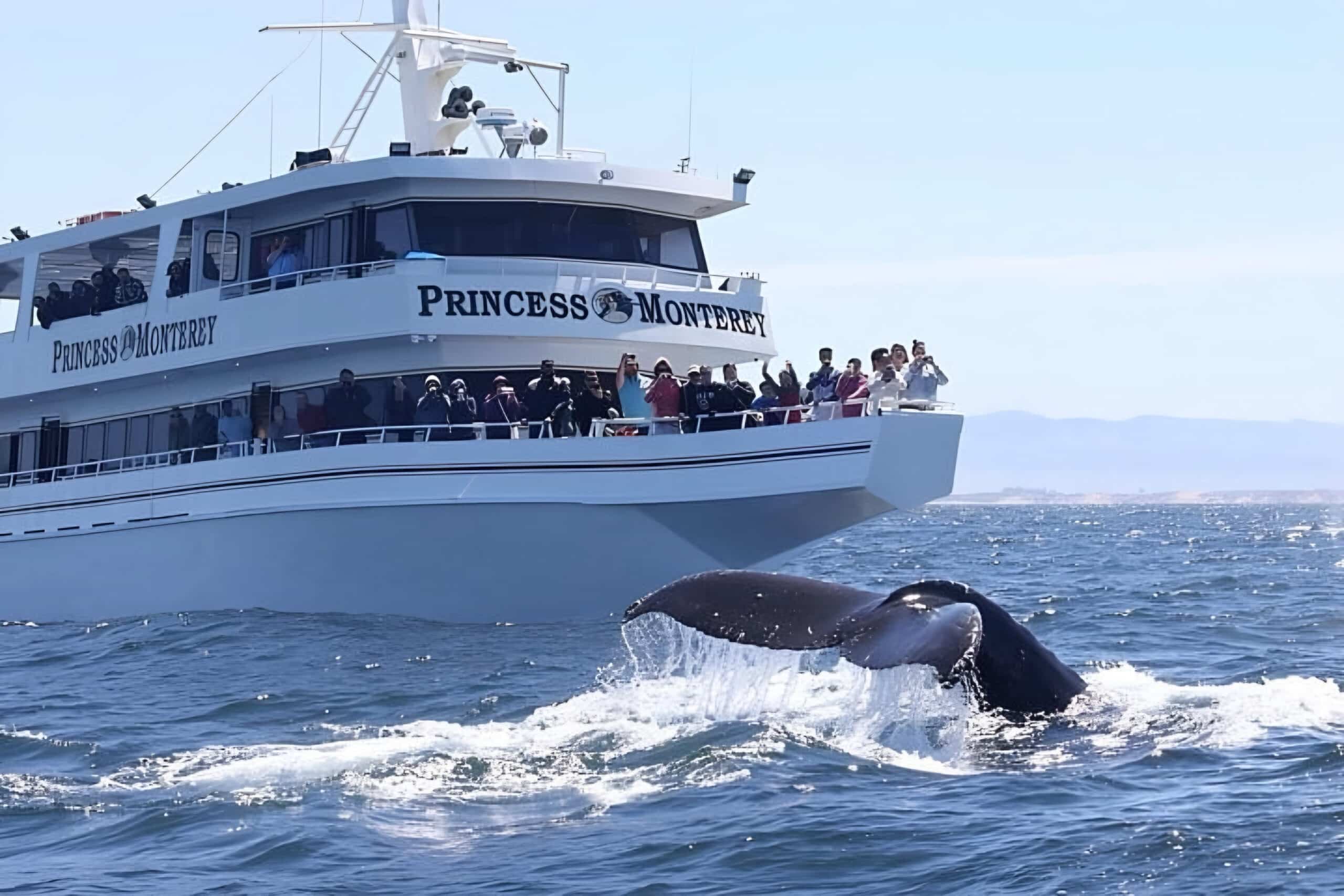 Boat with people watching whale, fundraising ideas, charity ideas, silent auction items, travel fundraising events