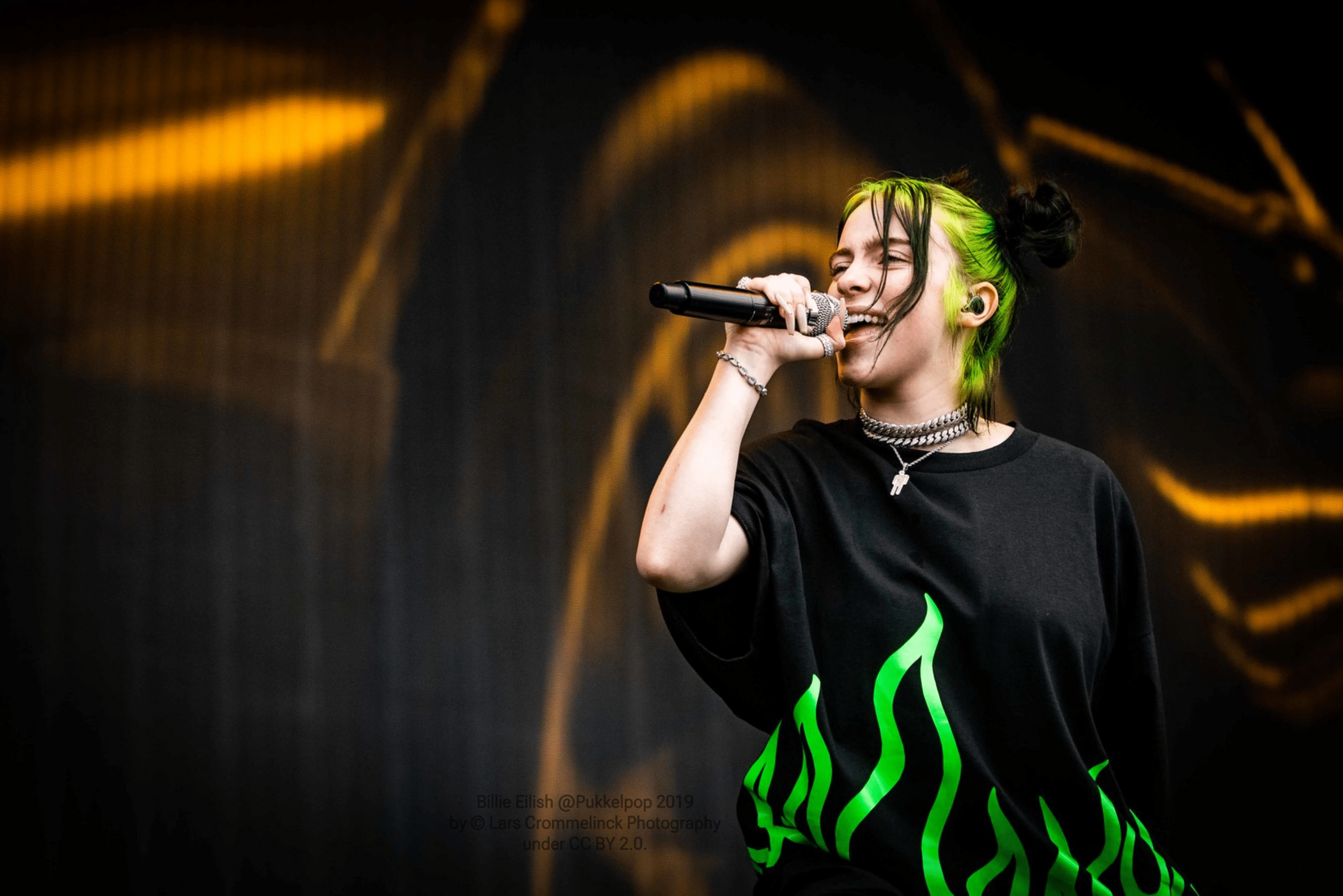 Billie Eilish, fundraising ideas, charity ideas, silent auction items, travel fundraising events