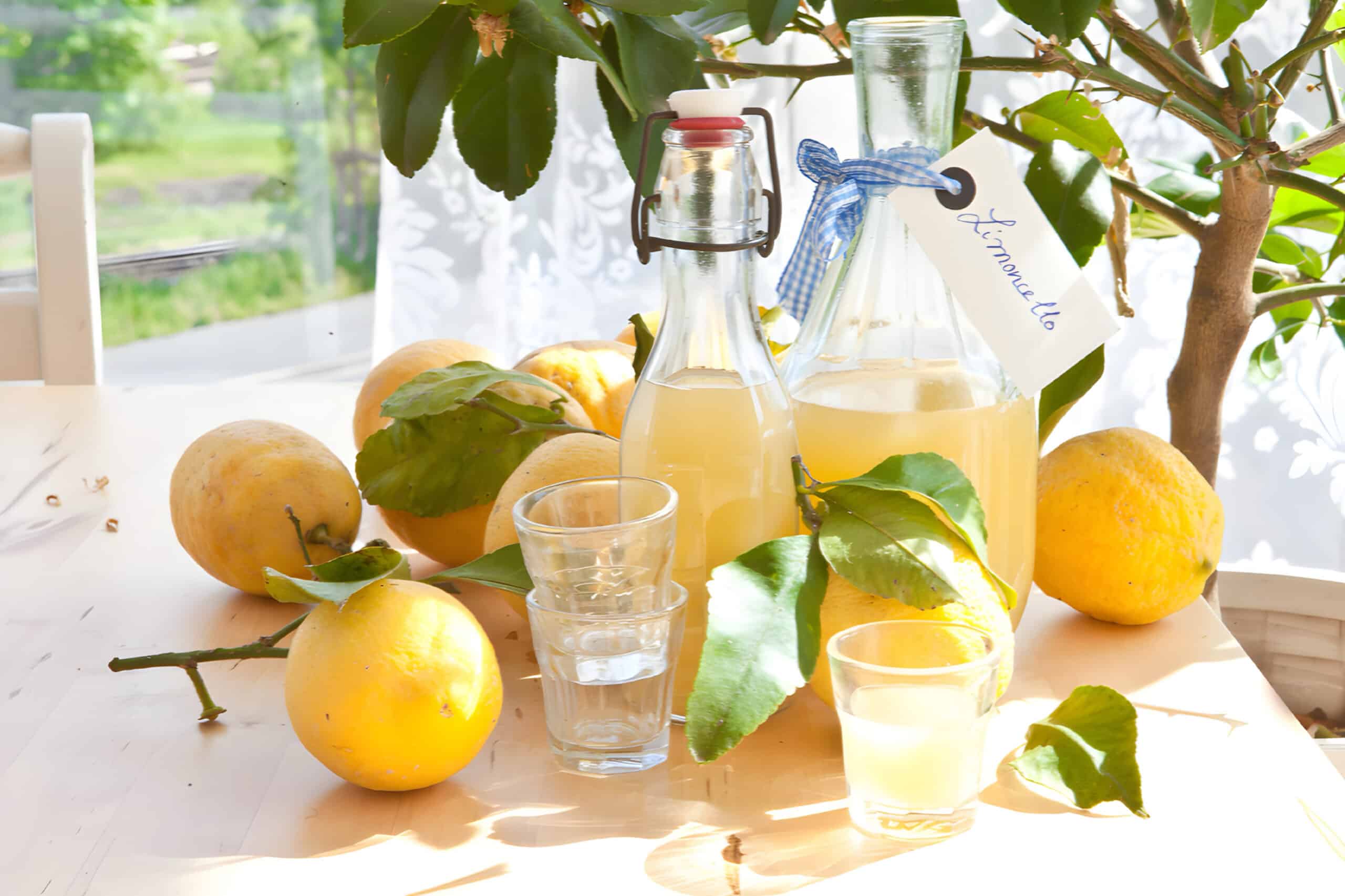 Table with lemons, vacation fundraising, fundraising ideas, charity ideas, silent auction items, travel fundraising events