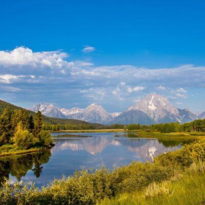 Jackson Hole Wildlife Safari