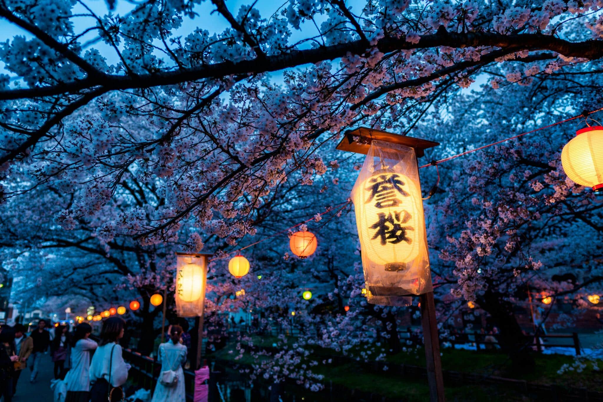 Lanterns in Tokyo park, charity auction travel packages, vacation fundraising, travel fundraising, fundraising ideas, charity ideas, silent auction items, travel fundraising events
